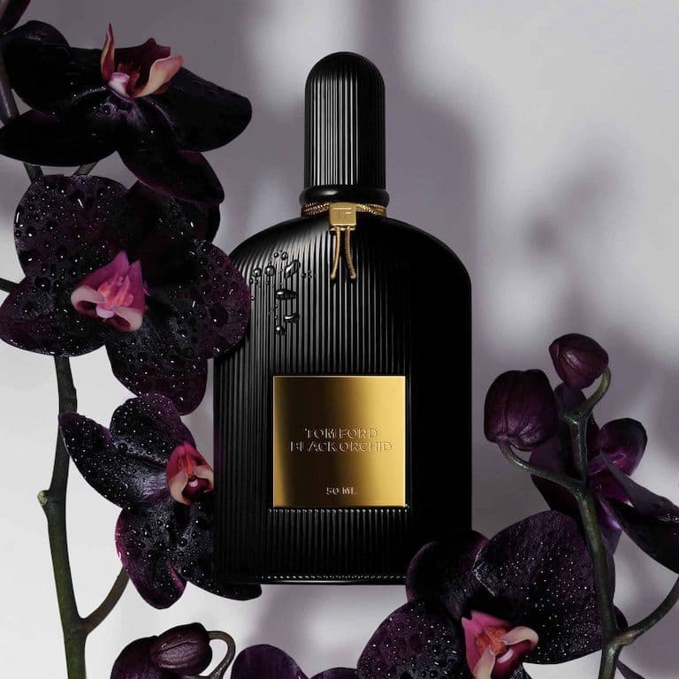 Black Orchid — фото 2