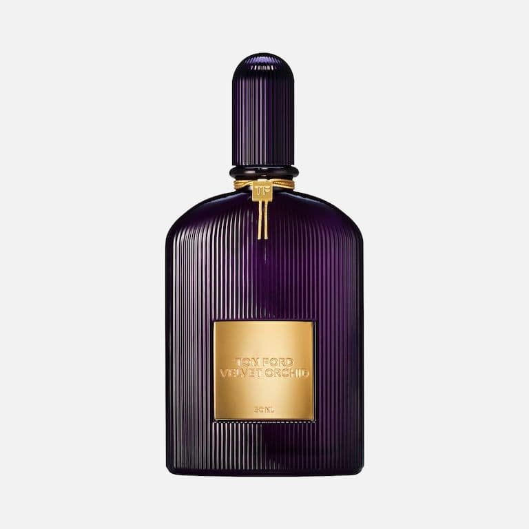 Velvet Orchid