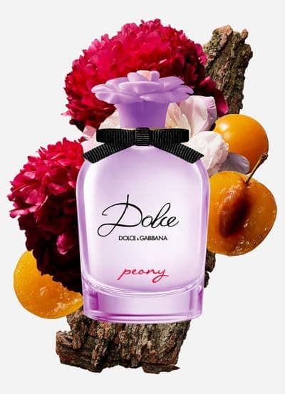 Dolce Peony