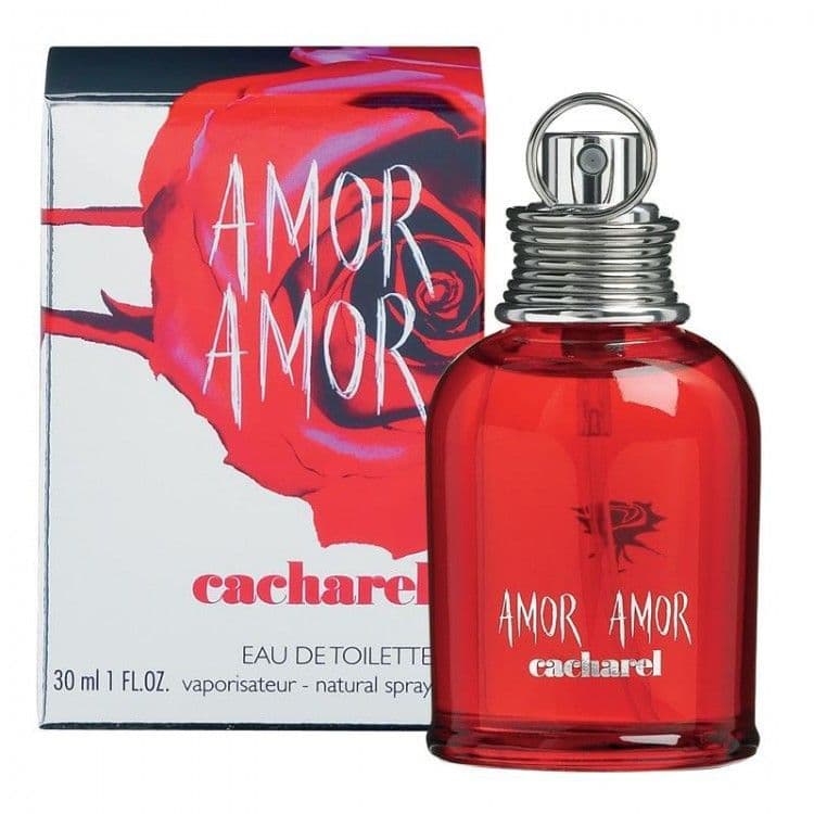 Amor Amor