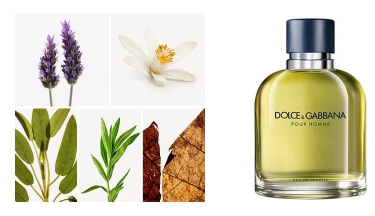 Pour Homme — фото 7