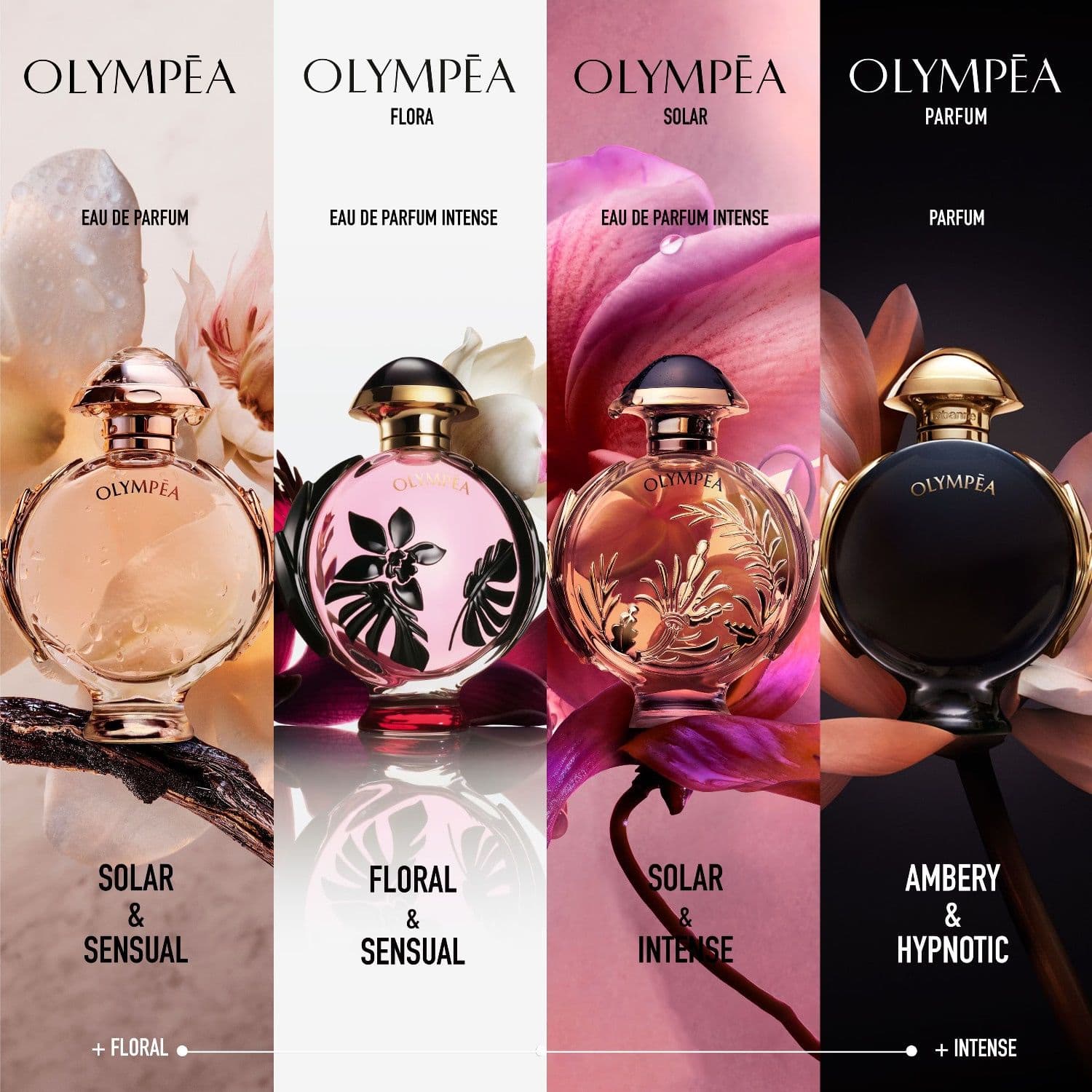Olympea Solar — фото 5