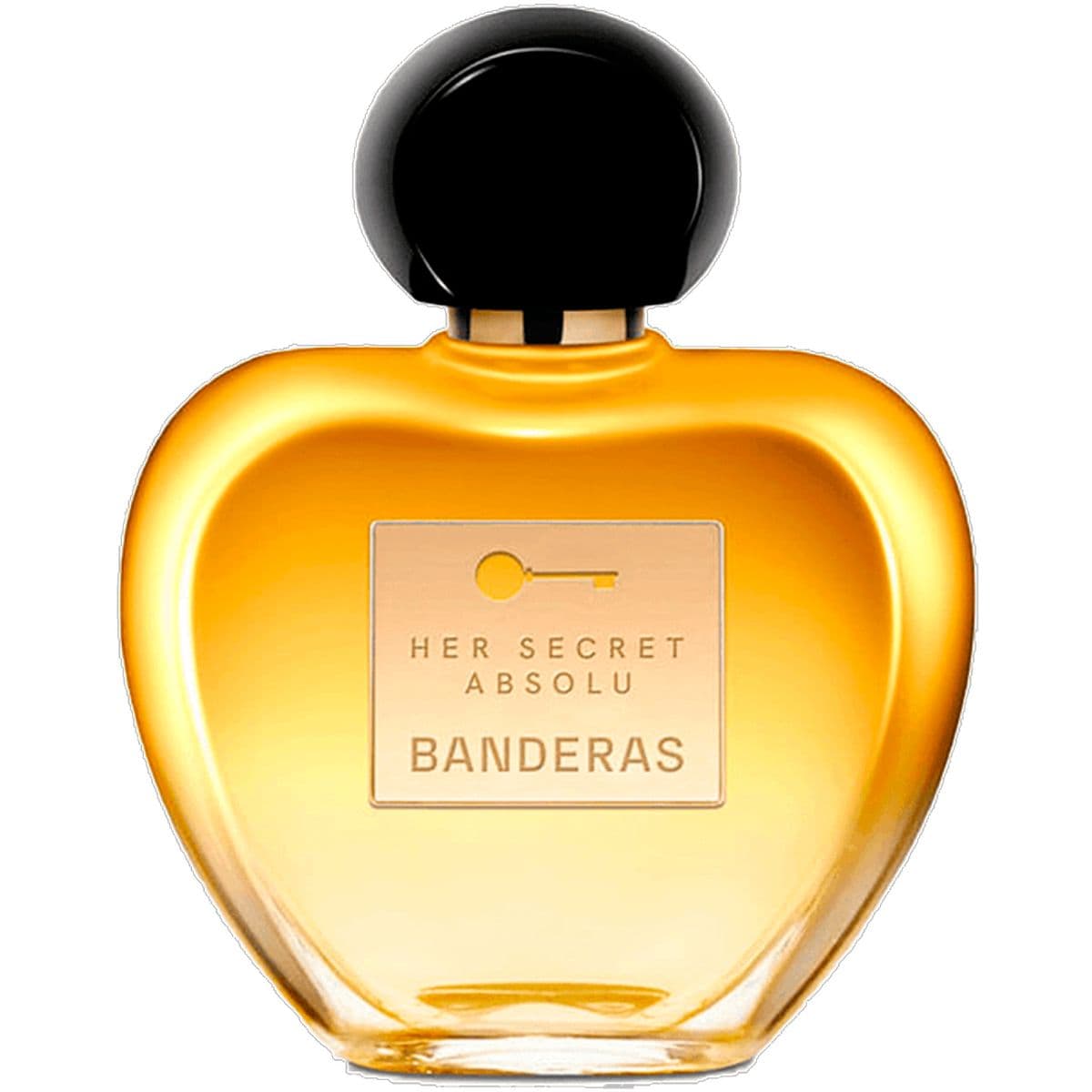 Her Secret Absolu