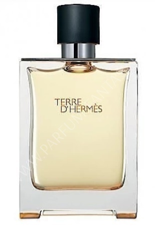 Фото - HERMES Terre D`Hermes 23